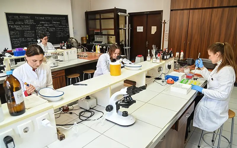 Laboratorija TMF